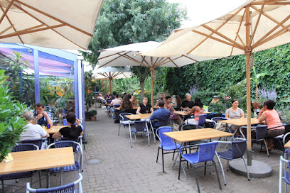 Heller,s Vegetarisches Restaurant & Café - N7 13, 68161 Mannheim, Germany