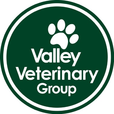 Valley Veterinary Group - Pangbourne Vet Surgery - Veterinarian