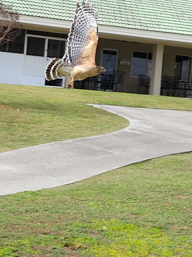 Golf Club «Oaks National Golf Club», reviews and photos, 1500 The Oaks Blvd, Kissimmee, FL 34746, USA