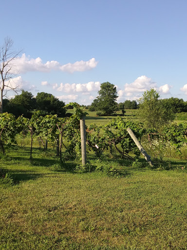 Winery «Belgian Horse Winery», reviews and photos, 7200 W County Rd 625 N, Middletown, IN 47356, USA