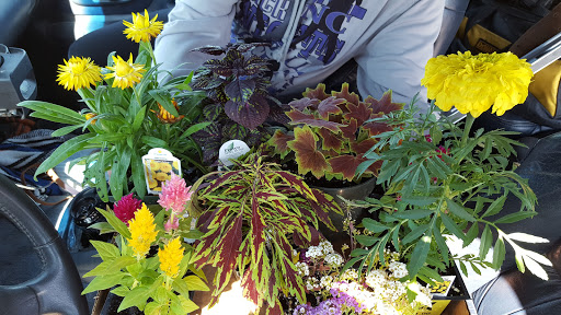 Produce Market «Kroul Farms», reviews and photos, 245 IA-1, Mt Vernon, IA 52314, USA