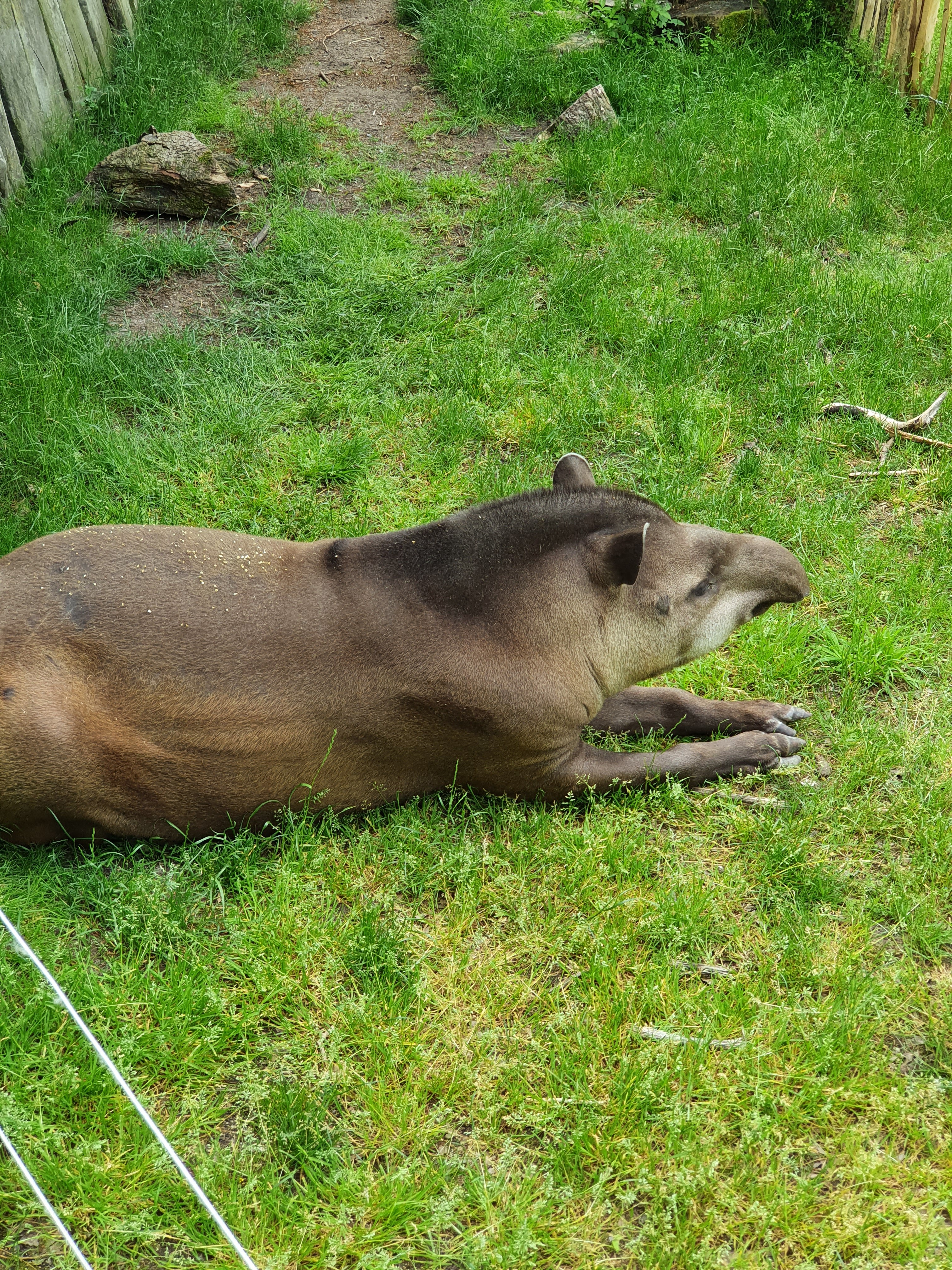 Photo n° 2 de l'avis de Floriane.O fait le 11/06/2021 à 14:04
