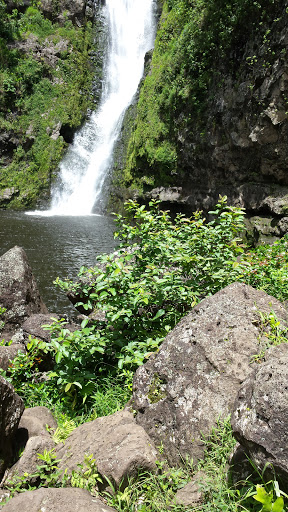 Drug Store «Walgreens», reviews and photos, 1215 16th St, Bedford, IN 47421, USA