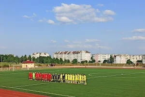 Stadion V Gorodskom Parke image