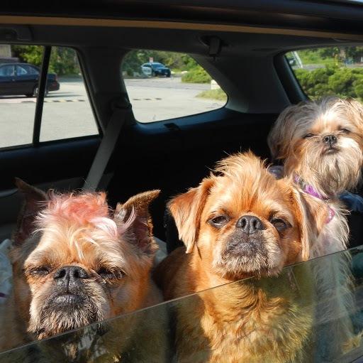 Redding Veterinary Hospital image