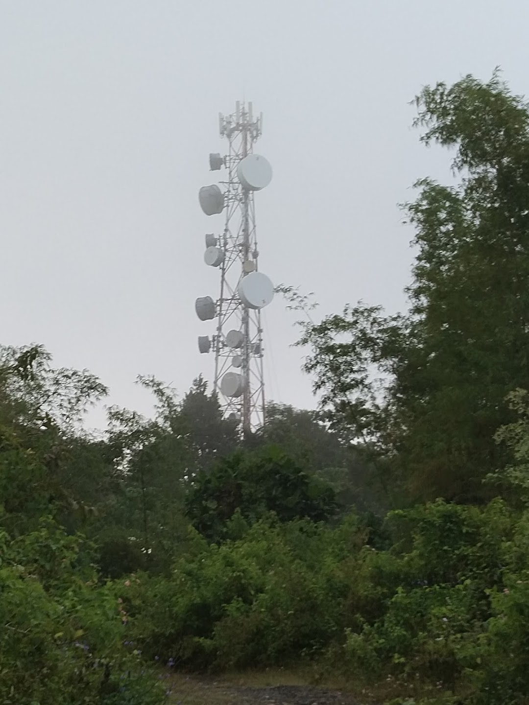 Smart Communication Tower Antenna