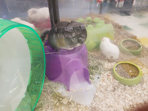 Pet Supply Store «Pet Supplies Plus», reviews and photos, 5161 Gull Rd, Kalamazoo, MI 49048, USA