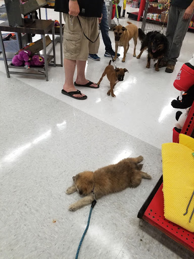 Pet Supply Store «Petco Animal Supplies», reviews and photos, 200 Edwards Blvd b, Lake Geneva, WI 53147, USA