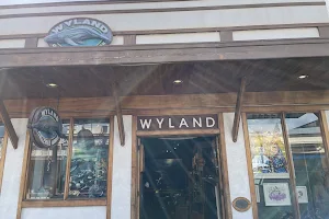 Wyland Galleries image