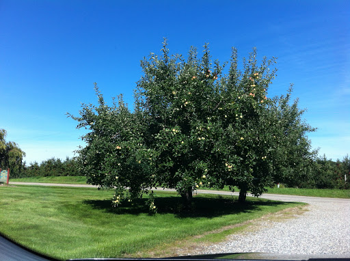 Hill Brothers Orchards