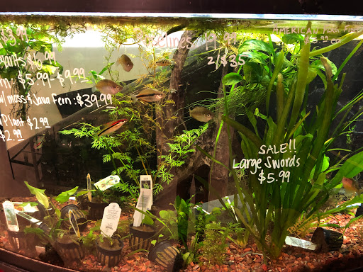 Pet Store «Delhi Pet Center», reviews and photos, 5665 Rapid Run Rd, Cincinnati, OH 45238, USA