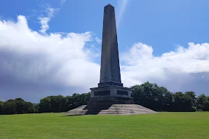 Wellington Monument image