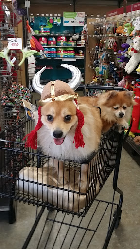 Pet Supply Store «Petco Animal Supplies», reviews and photos, 157-20 Cross Bay Blvd, Howard Beach, NY 11414, USA