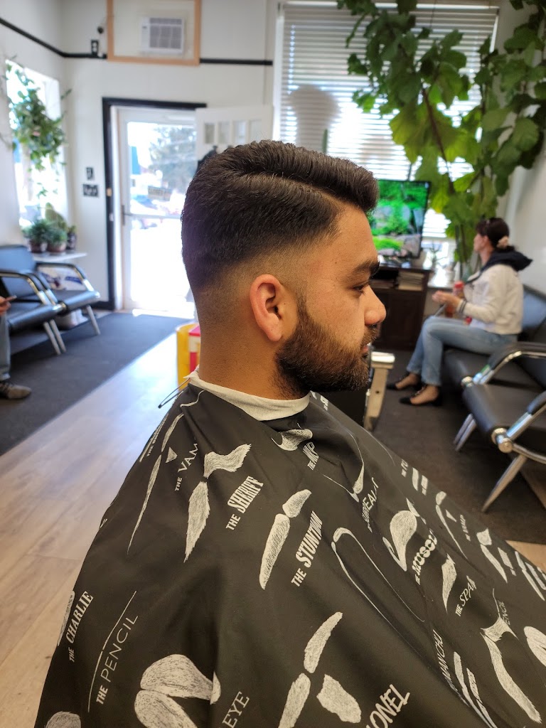 Rimma's Unisex Hair Salon 12189