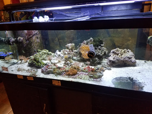 Pet Store «Pets Plus Inc», reviews and photos, 2610 Jefferson Davis Hwy, Stafford, VA 22554, USA