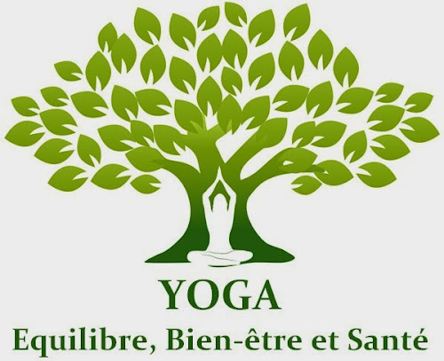 Cours de yoga Yoga Equilibre, Bien-être et Santé Noyant-Villages