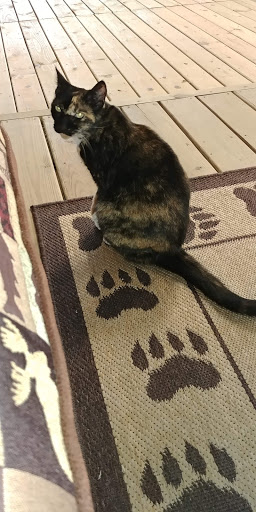 Fishing Store «A2O Boating Supplies & Pro Shop», reviews and photos, 2005 Charlestown New Albany Rd, Jeffersonville, IN 47130, USA