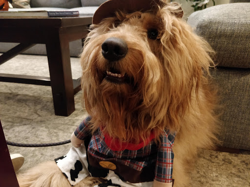 Non-Governmental Organization «Orange County Ronald McDonald House», reviews and photos