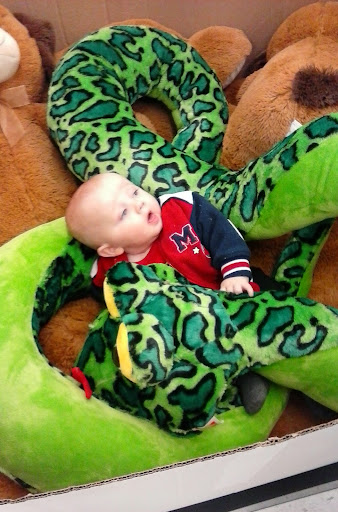 Discount Store «Big Lots», reviews and photos, 2211 W Main St, Norman, OK 73069, USA