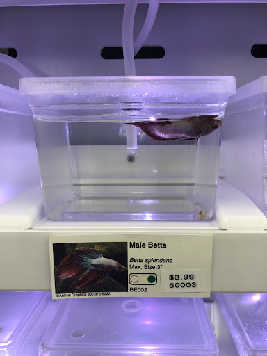 Pet Supply Store «IncrediPet», reviews and photos, 306 Southland Dr, Lexington, KY 40503, USA