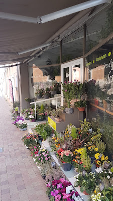 Josy Fleurs à Doué-la-Fontaine