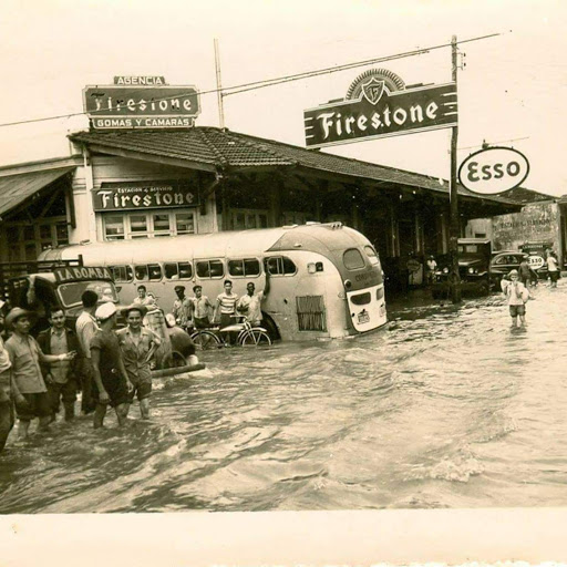 Tire Shop «Firestone Complete Auto Care», reviews and photos, 1479 E Osceola Pkwy, Kissimmee, FL 34744, USA