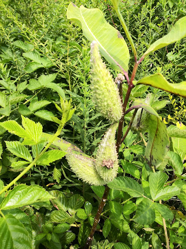 Nature Preserve «Ashland Nature Center of Delaware Nature Society», reviews and photos, 3511 Barley Mill Rd, Hockessin, DE 19707, USA