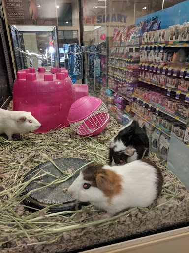 Pet Supply Store «PetSmart», reviews and photos, 2818 S Louise Ave, Sioux Falls, SD 57106, USA