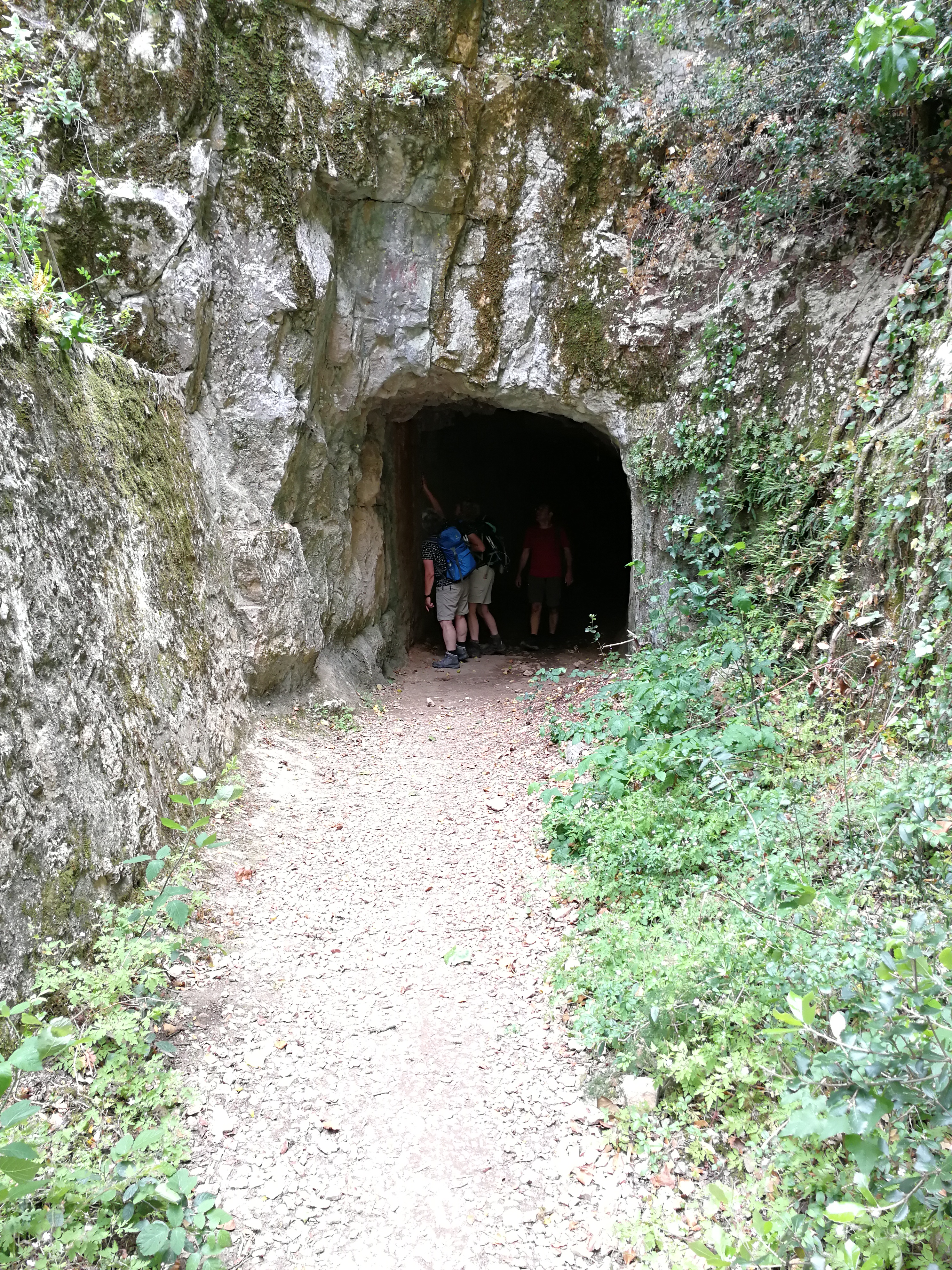 Photo n° 3 de l'avis de Helmut.e fait le 14/06/2019 à 20:02