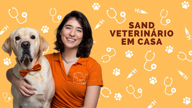 Avaliações doSAND serviços Veterinários em Queluz - Veterinário