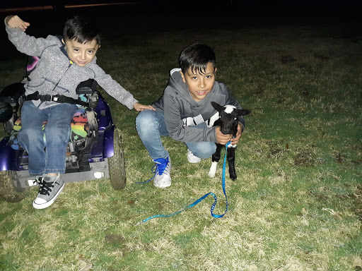 Park «Haltom Rd Park», reviews and photos, 3113 Haltom Rd, Haltom City, TX 76117, USA