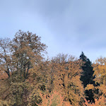 Photo n°11 de l'avis de Martin.o fait le 02/11/2023 à 06:36 sur le  Nashira Kurpark Hotel Bad Herrenalb à Bad Herrenalb