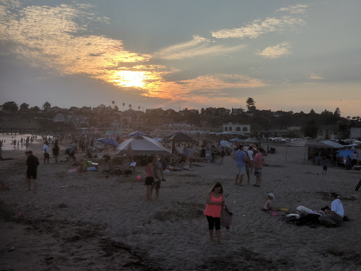 Used Book Store «LOGOS BOOKS & RECORDS», reviews and photos, 1117 Pacific Ave, Santa Cruz, CA 95060, USA