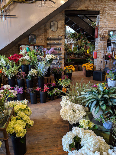 Florist «A New Leaf», reviews and photos, 1645 N Wells St, Chicago, IL 60614, USA