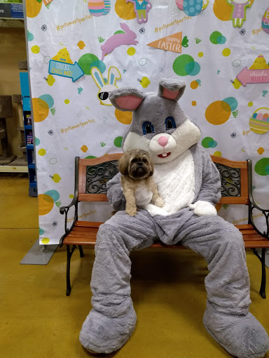 Shopping Mall «Northgate Mall Tullahoma», reviews and photos, 1600 N Jackson St, Tullahoma, TN 37388, USA