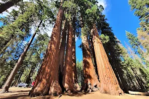 Sequoia & Kings Canyon National Parks image