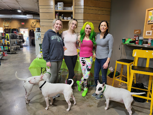 Bicycle Store «Urban Bicycle Gallery», reviews and photos, 4814 Nett St, Houston, TX 77007, USA