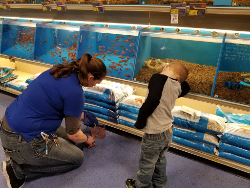 Pet Supply Store «PetSmart», reviews and photos, 9277 159th St, Orland Hills, IL 60487, USA