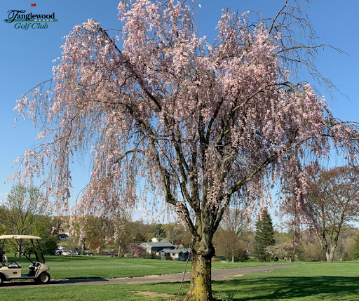 Golf Course «Tanglewood Manor Golf Club», reviews and photos, 653 Scotland Rd, Quarryville, PA 17566, USA