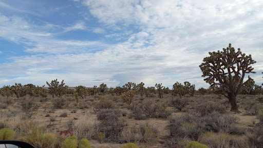 Lottery Retailer «The Lotto Store at Primm», reviews and photos, 31900 S Las Vegas Blvd, Jean, CA 89019, USA