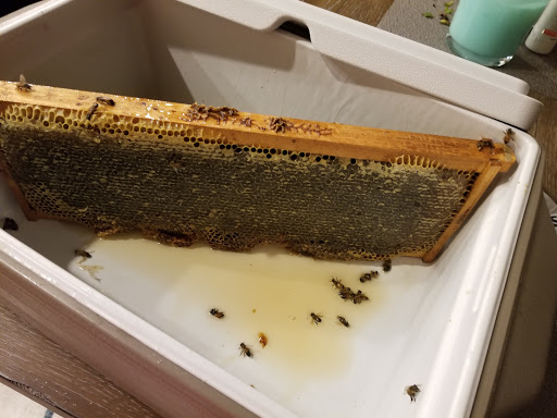 Facial Spa «Beauty Oasis Rx Facial Clinic», reviews and photos, 977 Raintree Cir #220, Allen, TX 75013, USA