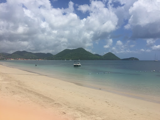 Travel Agency «Alpha World Travel Honeymoons and Destination Weddings», reviews and photos, 107 Edinburgh S Dr #114, Cary, NC 27511, USA