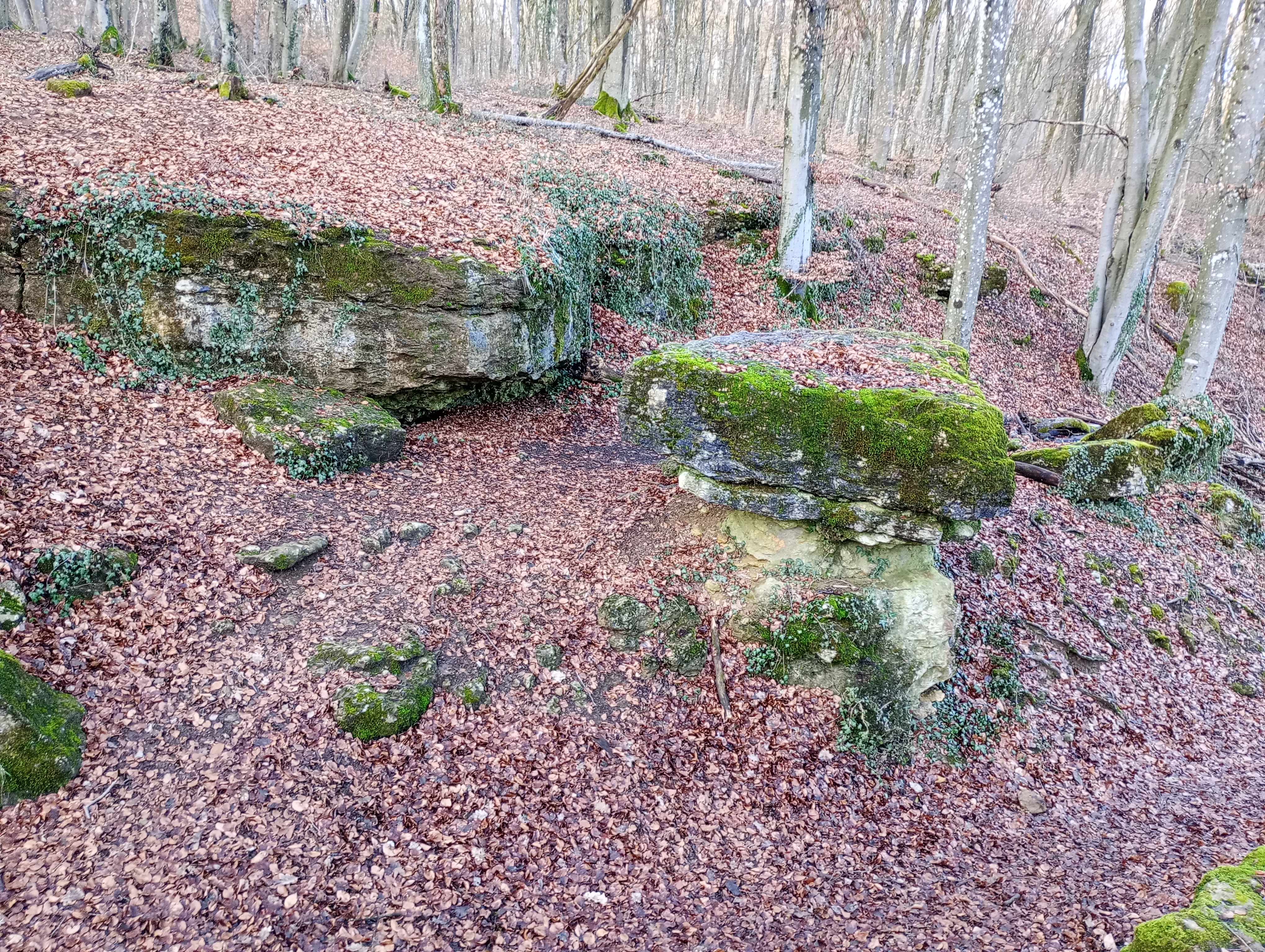 Photo n° 19 de l'avis de Phidis.a fait le 31/01/2024 à 22:31