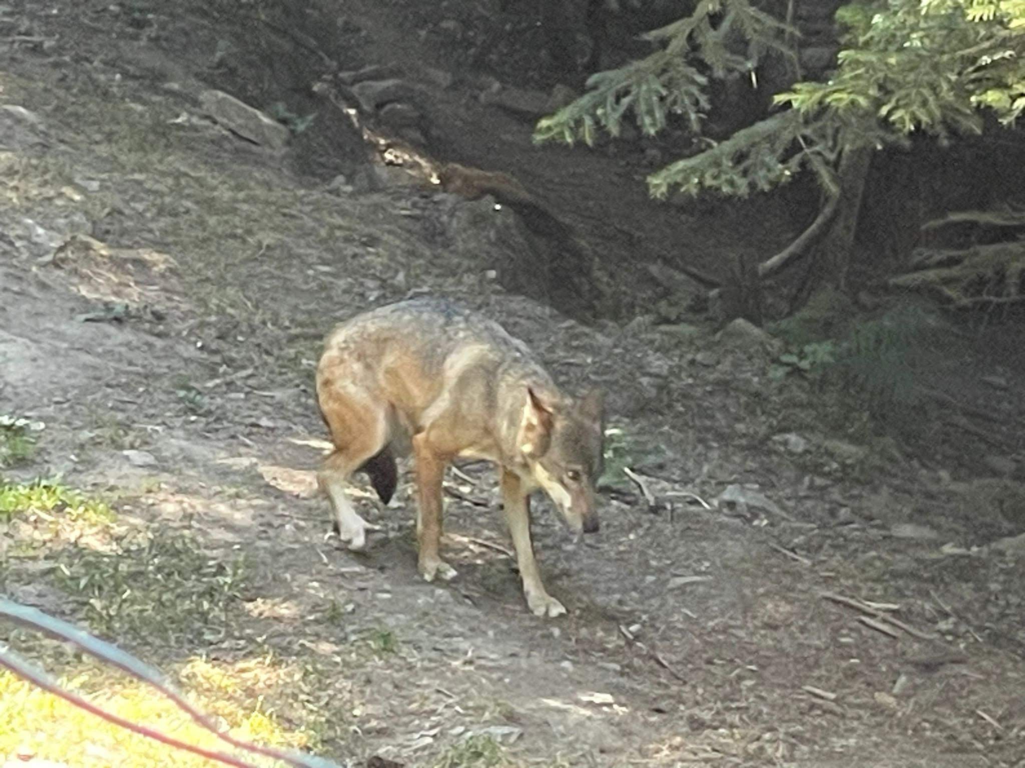 Photo n° 1 de l'avis de Dominique.a fait le 31/08/2023 à 12:38