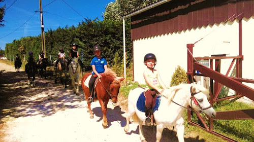 attractions Ecuries de Subileau Saint-Martin-de-Laye