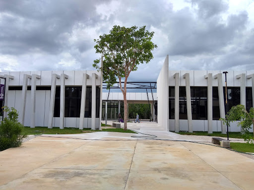 Universidad Politécnica de Yucatán