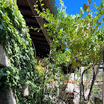 Photo n°1 de l'avis de Jorge.e fait le 05/08/2023 à 15:35 sur le  Cozinha da Terra à Louredo