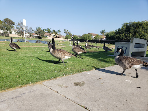 Park «Greer Park», reviews and photos, 6900 W McFadden Ave, Huntington Beach, CA 92647, USA