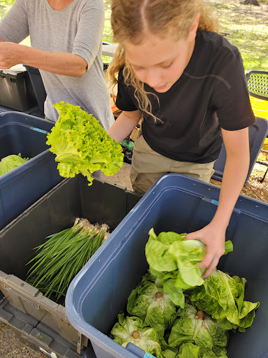 American Restaurant «Upper Eastside Farmers Market», reviews and photos, 6599 Biscayne Blvd, Miami, FL 33138, USA