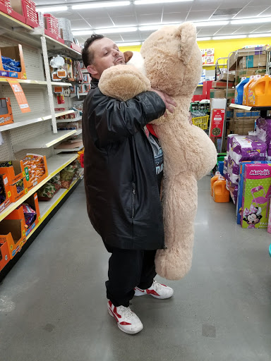 Discount Store «Dollar General», reviews and photos, 3524 Conowingo Rd, Street, MD 21154, USA